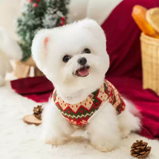 Christmas White Bear Sweater for Dog