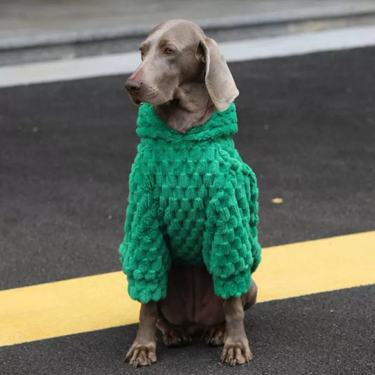 Green Velvet Large Dog Hoodie