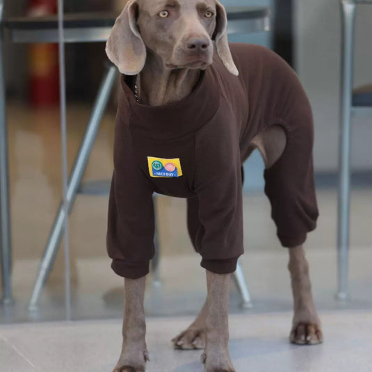 Nice Day Sweater and Yellow Vest For Large Dog