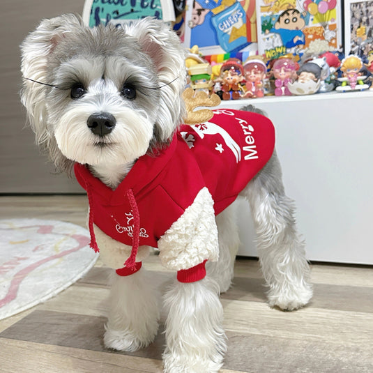 Christmas Reindeer Large Dog Hoodie