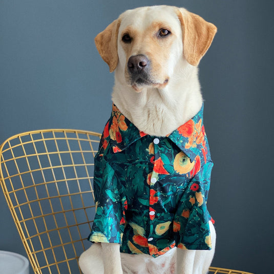 Painting Hawaiian Shirt For Large Dog