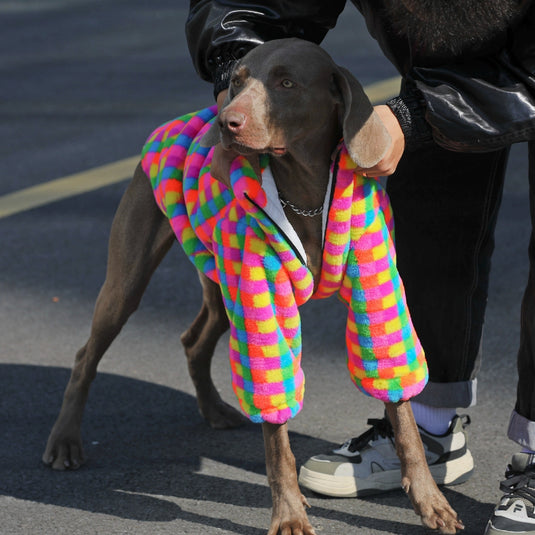 Rainbow Plaid Vest for Large Dog