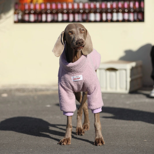 Plush Large Dog Sweatshirt