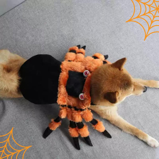 Halloween Spider Costume for Pets