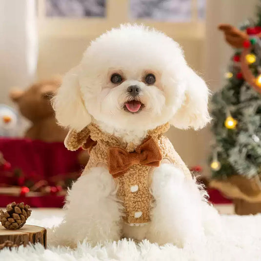 Christmas Dog Coat