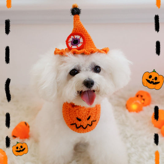 Pumpkin and Spider Halloween Pet Hat Collar