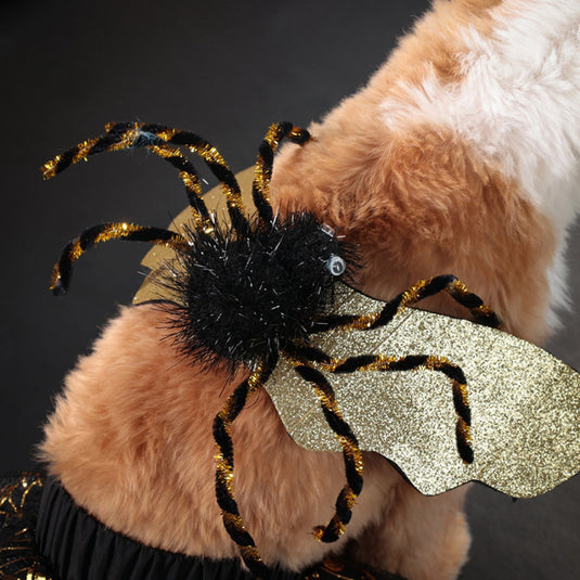 Halloween Spider Costume for Pets