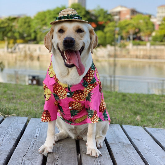 Pineapple Hawaiian Shirt For Large Dog