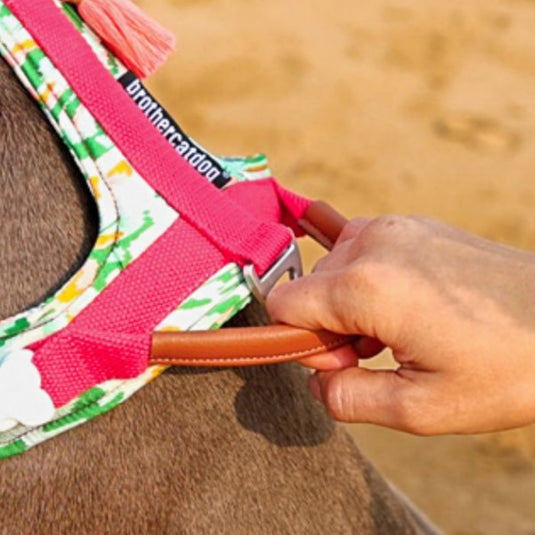 Pink Large Dog Harness and Leash