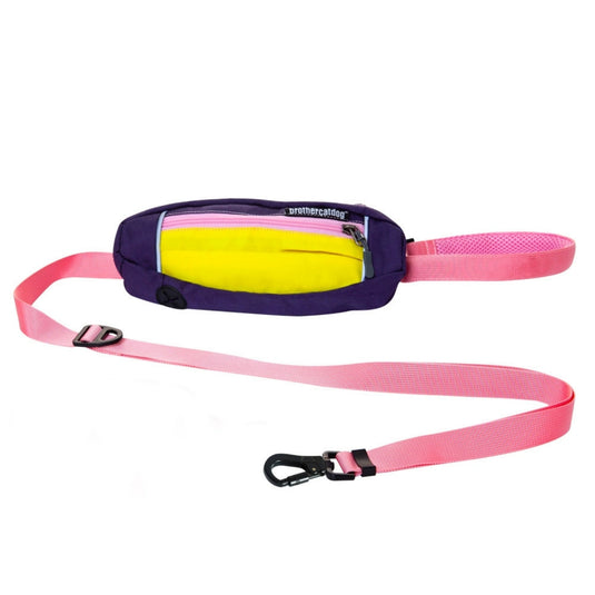 Flower Collar and Leash for Large Dog