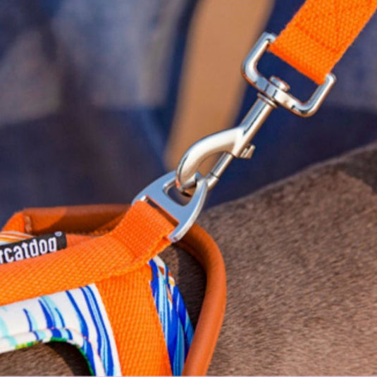 Orange Large Dog Harness and Leash