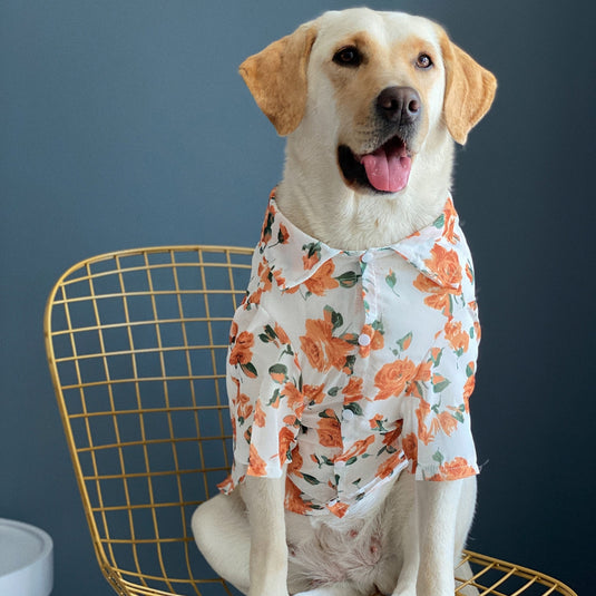 Floral Hawaiian Shirt For Large Dog