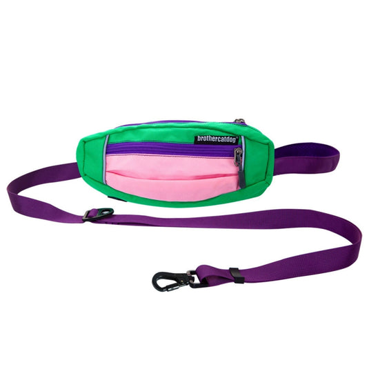 Modern Harness and Leash For Large Dog