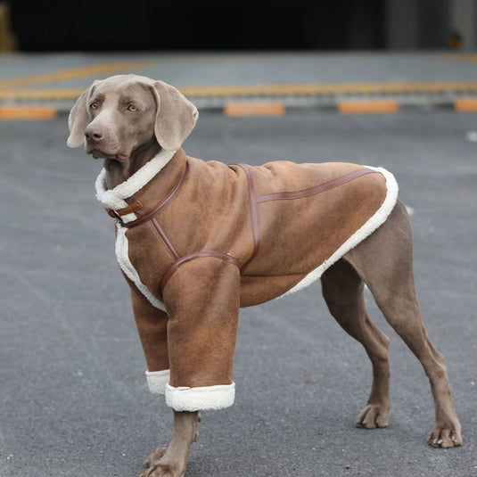 Suede Jacket For Large Dog