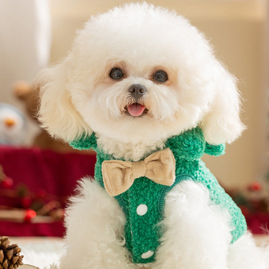 Christmas Dog Coat