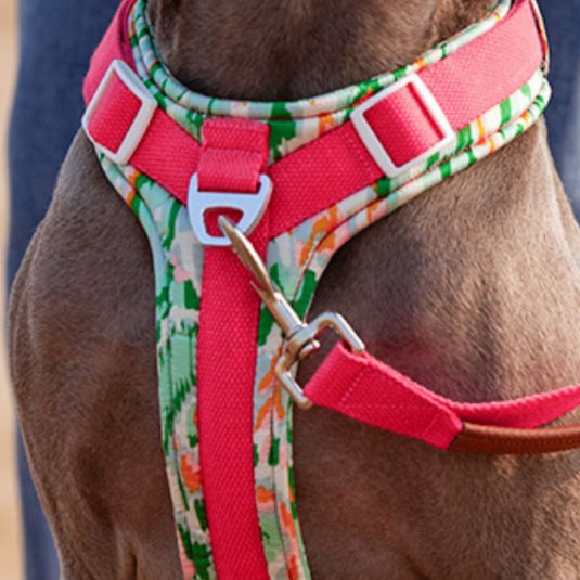 Pink Large Dog Harness and Leash