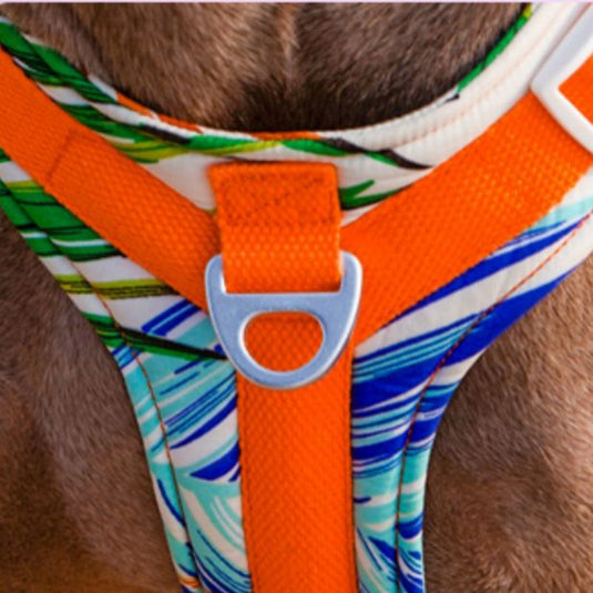 Orange Large Dog Harness and Leash