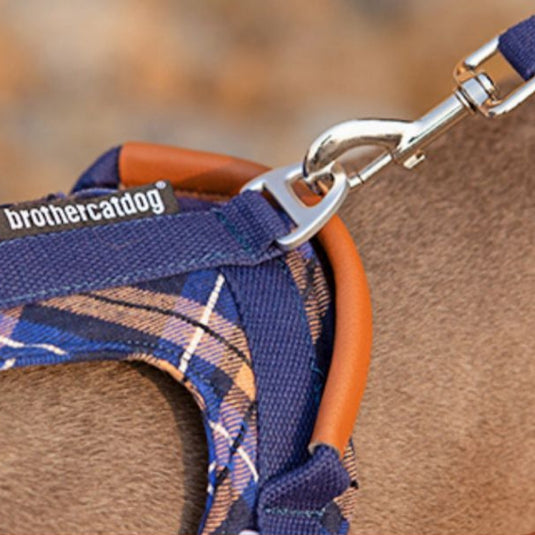 Navy Large Dog Harness and Leash