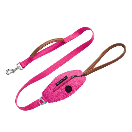 Cute Harness and Leash for Large Dog