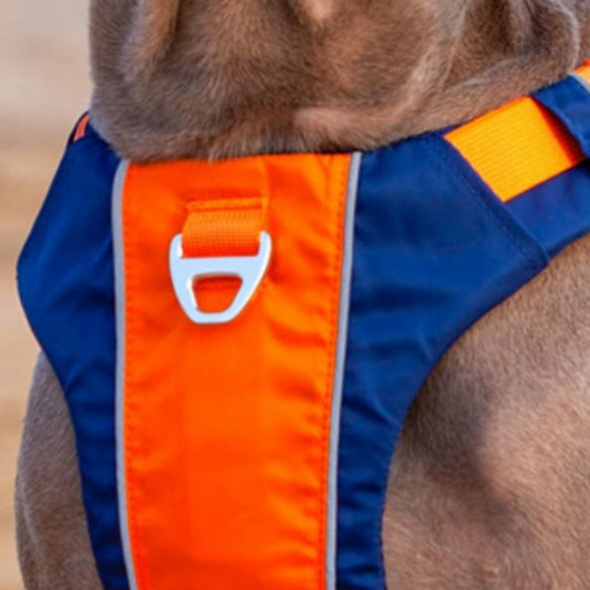 Bag Harness For Large Dog