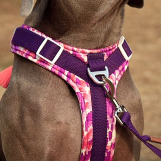 Purple Large Dog Harness and Leash