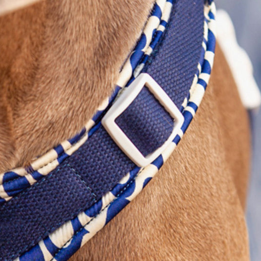 Blue Large Dog Harness and Leash