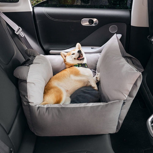 Teddy Dog Car Seat