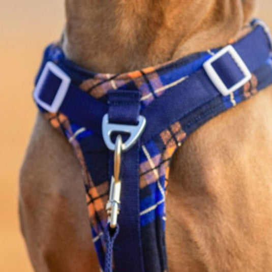 Navy Large Dog Harness and Leash