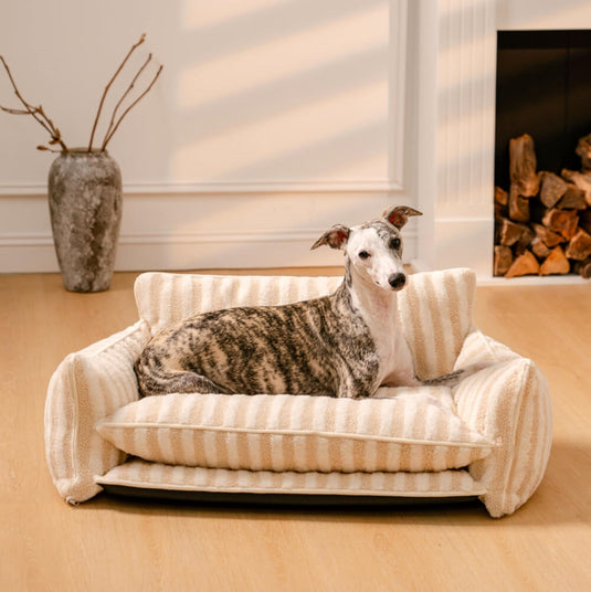 Striped Faux Lambswool Double Layer Dog Sofa