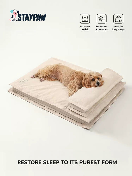 Milk Coffee Orthopedic Calming Dog Bed with Pillow